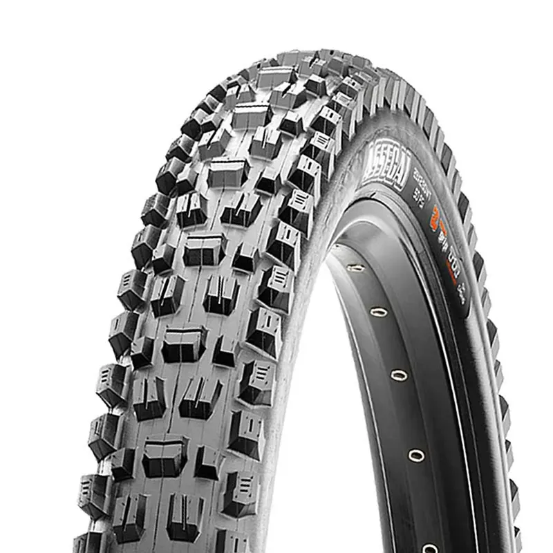 Maxxis Assegai Tubeless Ready 29x2.50-inch Folding MTB Tire in Black