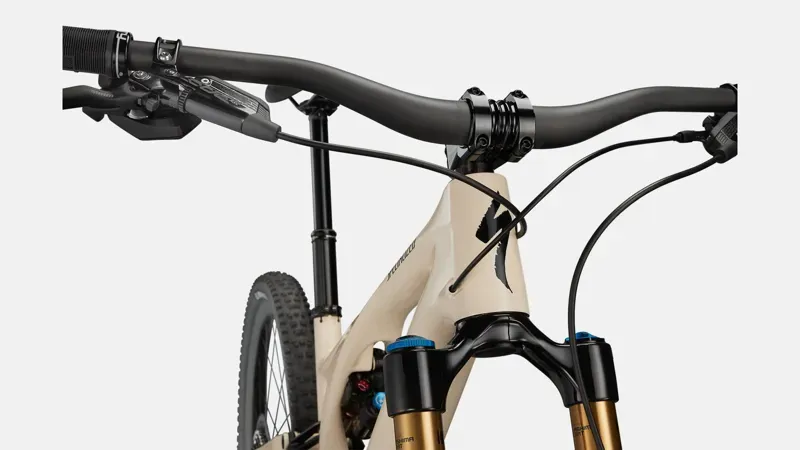 Specialized Stumpjumper EVO Pro Mountain Bike in Beige-3