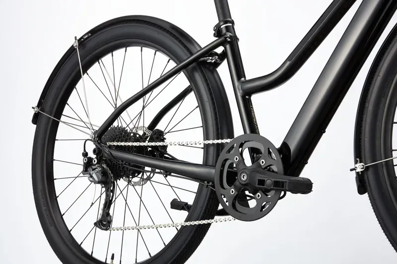 Cannondale Treadwell Neo EQ Remixte 650 LG BLK-4