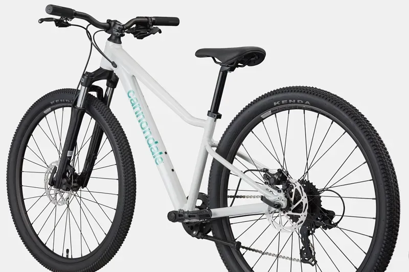 Cannondale Kids Trail 26 Mountain Bike in Cashmere-5