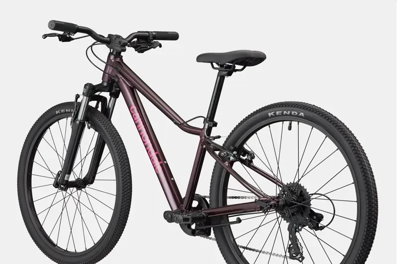 Cannondale Kids Trail 24 Mountain Bike in Royal Purple-5