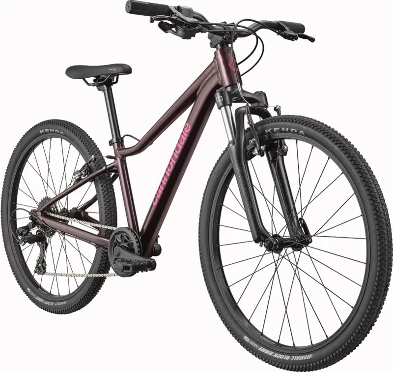 Cannondale Kids Trail 24in Bike in Royal Purple-1