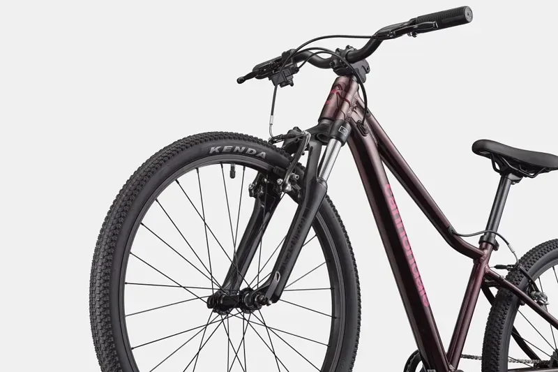 Cannondale Kids Trail 24in Bike in Royal Purple-3