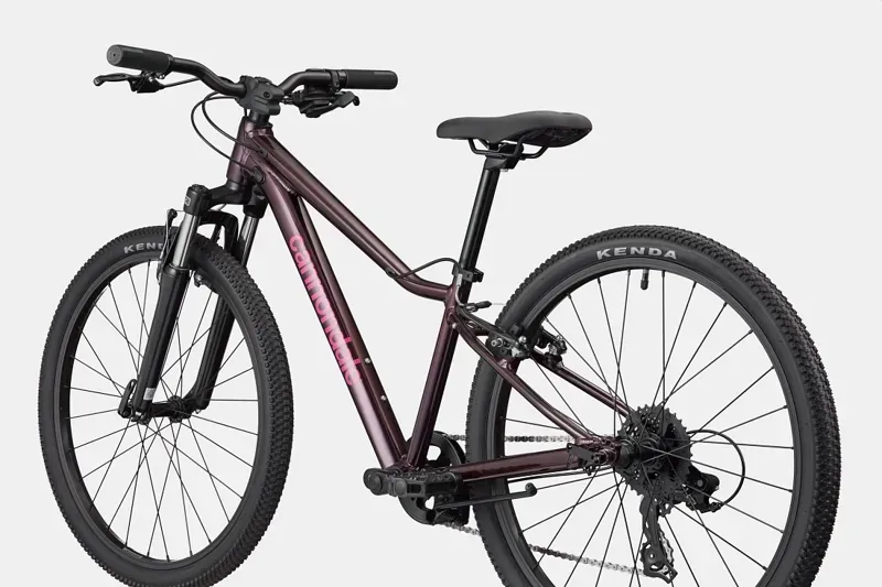 Cannondale Kids Trail 24in Bike in Royal Purple-5