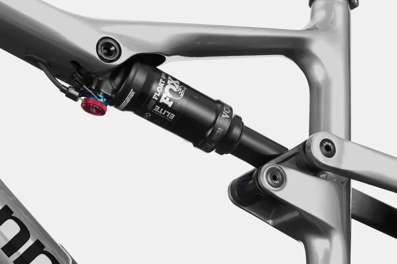 Scalpel 3 Tiger Shark-3