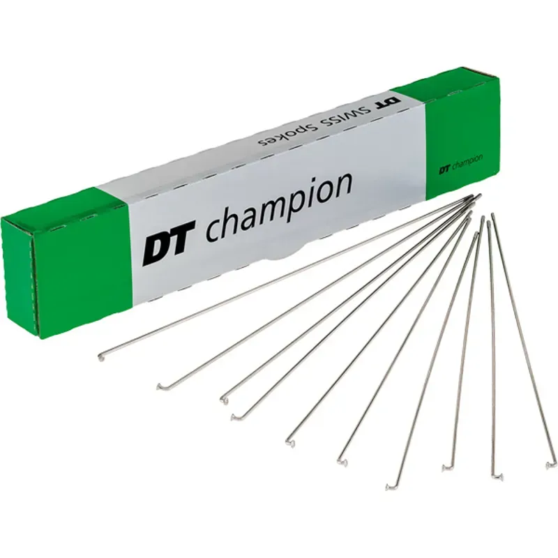 DT Swiss Champion 100-pack Silver Spokes - 2x262mm