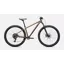 Specialized Rockhopper Sport Trail Bike in Gloss Burnt Gold Metallic