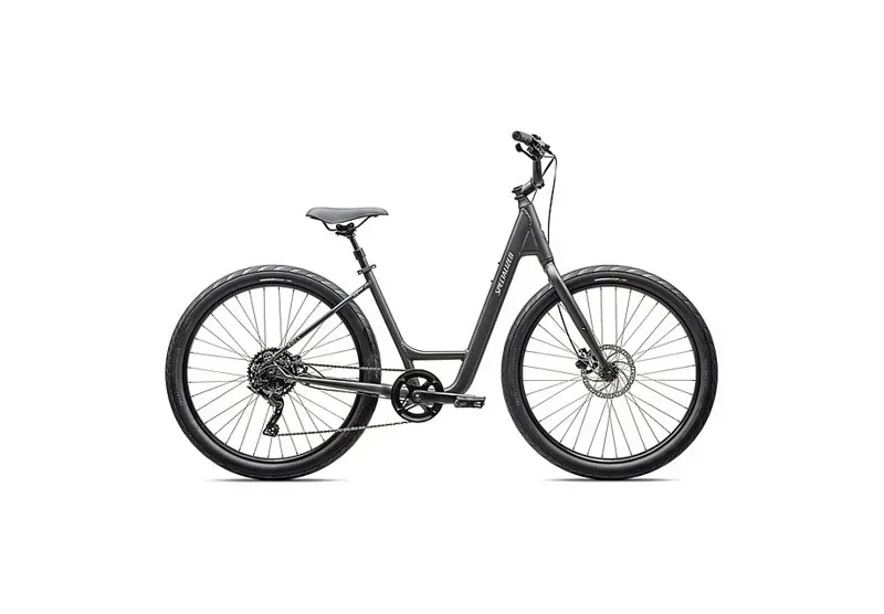 Specialized Roll 3.0 Low Entry in Smoke/Morning Mist