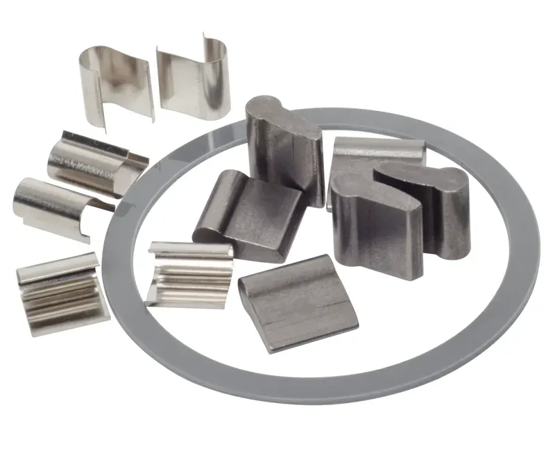 Stan's NoTubes Neo Hub Spring and Pawl Kit in Silver