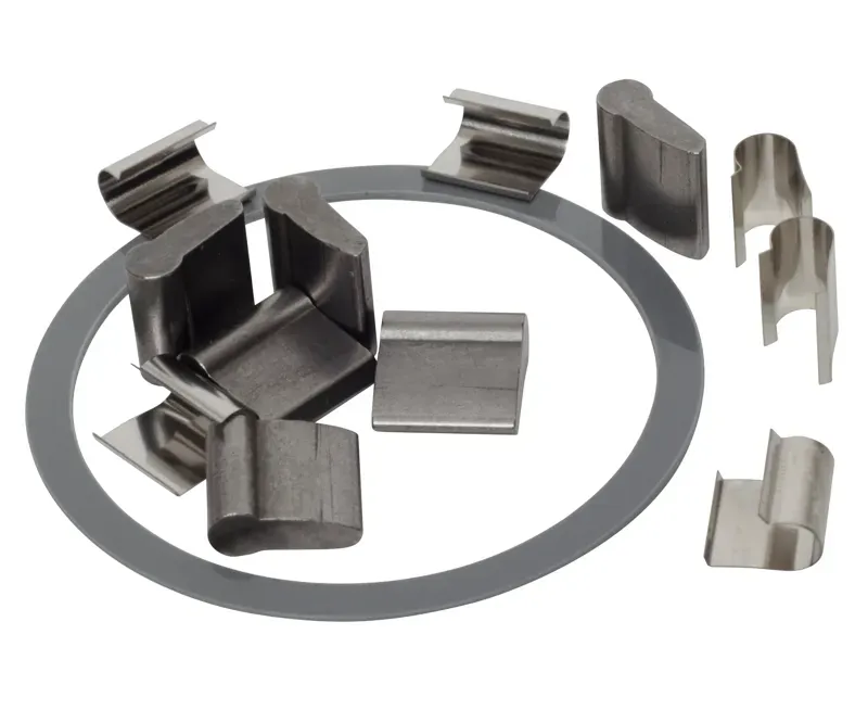 Stan's NoTubes Neo Hub Spring and Pawl Kit in Silver-1